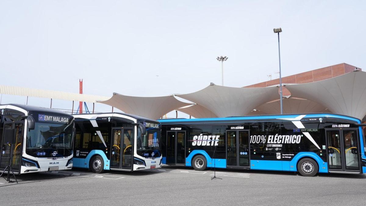 El Ayuntamiento de Málaga refuerza los servicios de transporte público con motivo de la Noche en Blanco