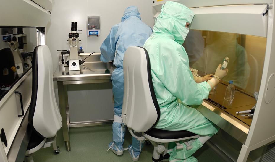 Junta de Andalucía Press / Investigadores del primer ensayo clínico con tejido artificial en el que participarán 15 pacientes pediátricos afectado de fisura labiopalatina.