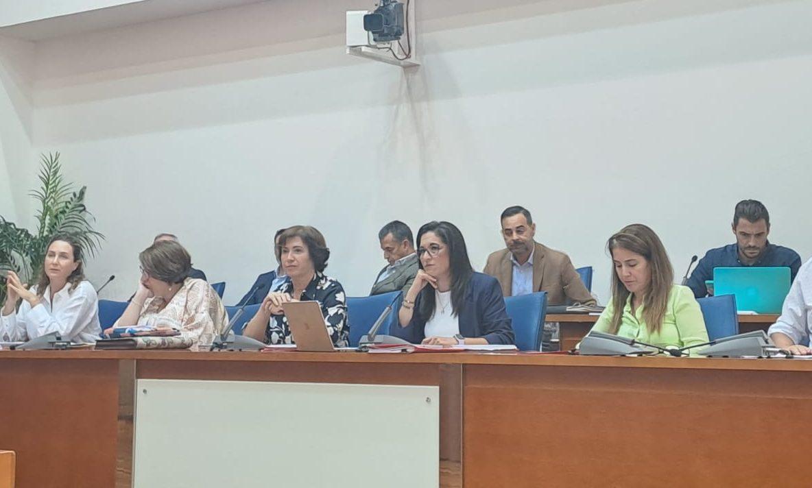 El PP rechaza en pleno la moción del PSOE para crear refugios climáticos en Fuengirola