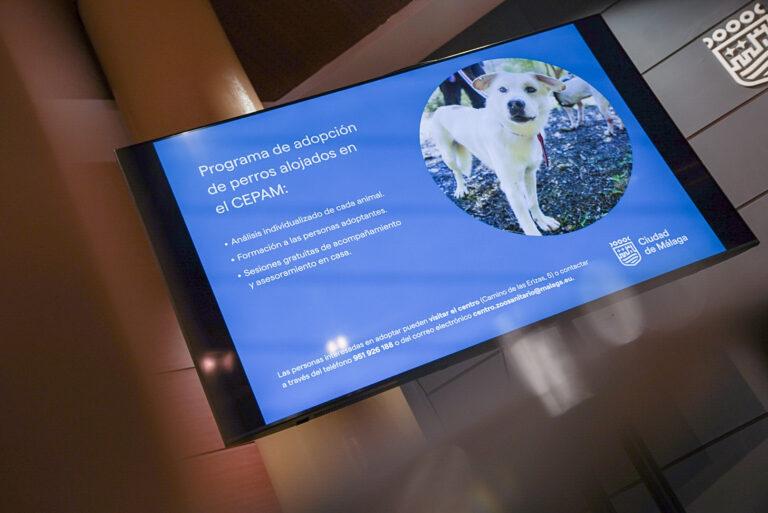 El Ayuntamiento de Málaga refuerza la adopción responsable de animales del CEPAM con un nuevo programa de valoración y formación