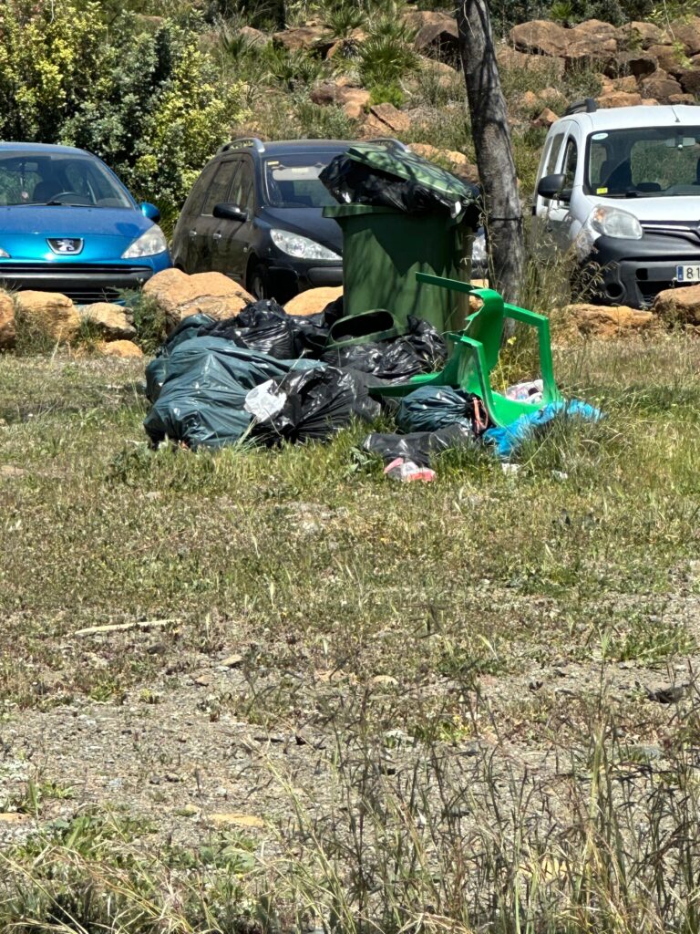 El PSOE de Estepona denuncia el abandono del Parque de los Pedregales