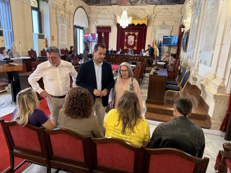 El PSOE impulsa en el Ayuntamiento medidas para reducir ratios en Infantil frente a la abstención del PP