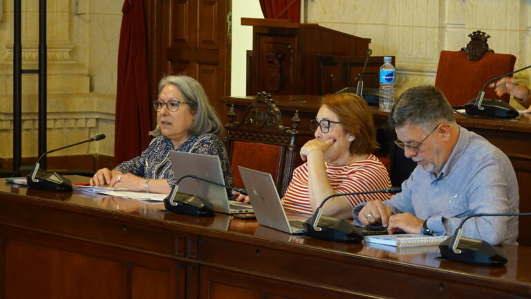 El PSOE señala al PP en Málaga como “colaborador necesario” para el cierre de más de 8.000 comercios locales en cinco años