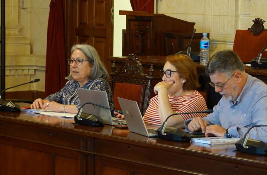 El PSOE señala al PP en Málaga como “colaborador necesario” para el cierre de más de 8.000 comercios locales en cinco años