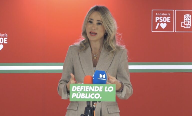 El PSOE se compromete a contratar 13.000 nuevos docentes en Andalucía y a mejorar sus condiciones laborales