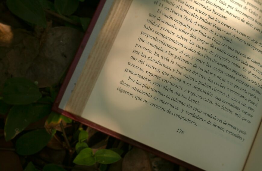 An open book lies on a leafy ground with sunlight illuminating the printed text.