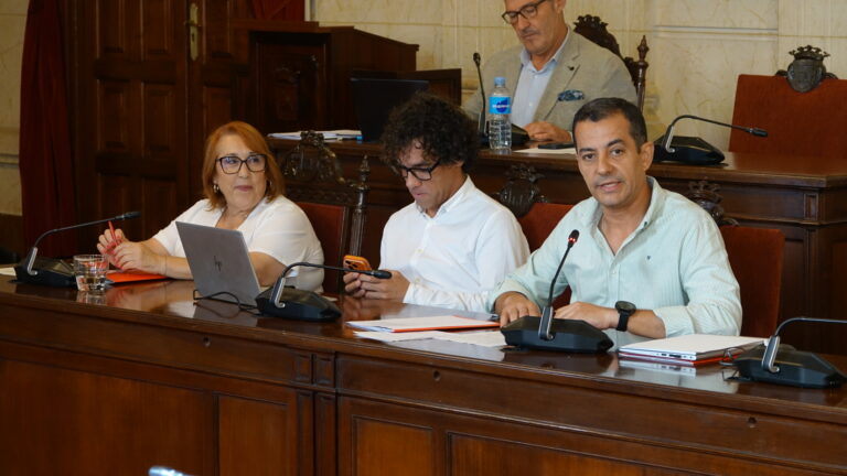 El PSOE critica el rechazo del PP a crear una red municipal de viviendas para víctimas de violencia de género y familias monomarentales