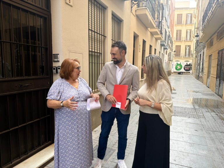 El PSOE exige a De la Torre que retire las viviendas turísticas que incumplan el PGOU