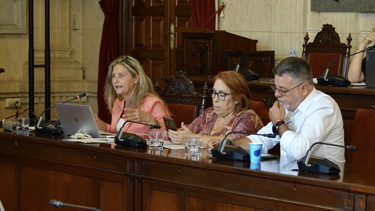 El PSOE acusa al PP de bloquear la tasa turística y cargar sobre los malagueños el coste de la presión turística