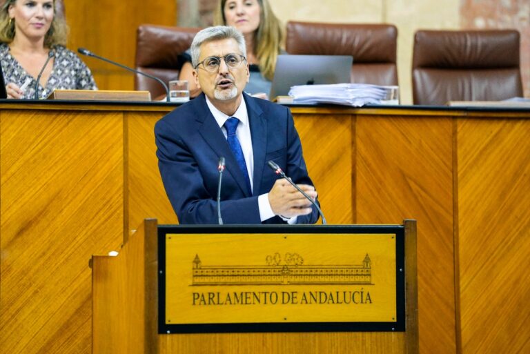 El PSOE de Málaga denuncia que PP y Vox relegan el turismo en el Parlamento andaluz