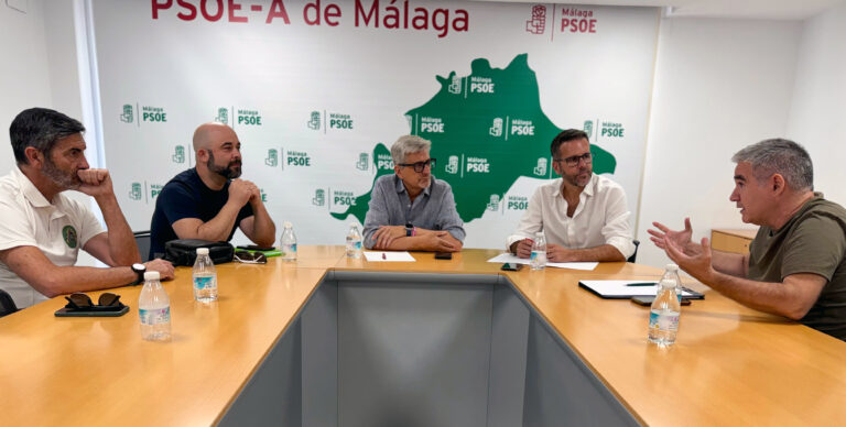 El PSOE de Málaga reclama a la Junta más personal y medios para reforzar el INFOCA